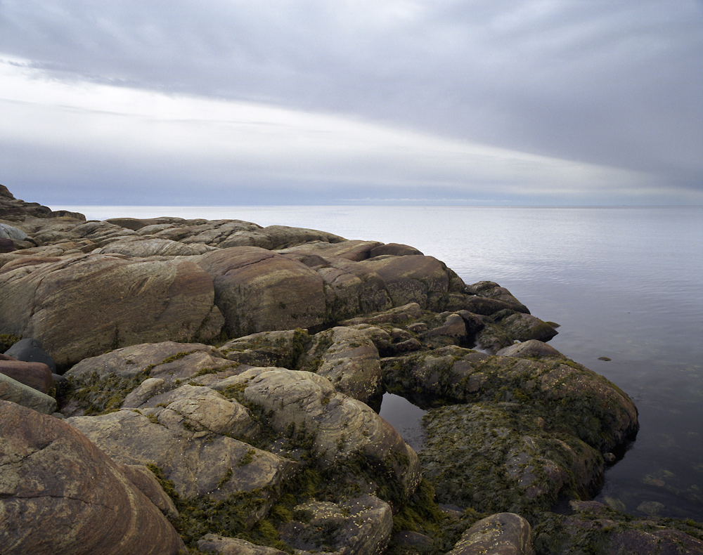 Белое море 2010 _ 12