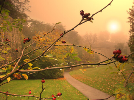 Плачет осень