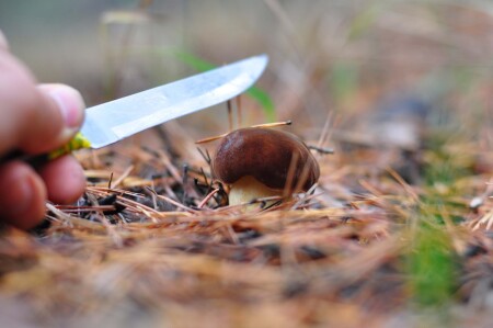 От меня не спрячешся