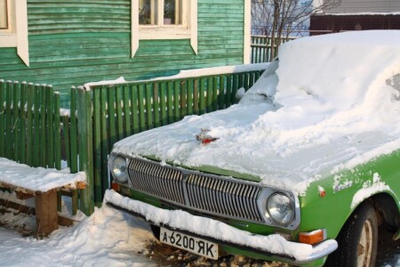 Олень есть?