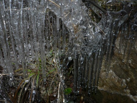 Только вперед.