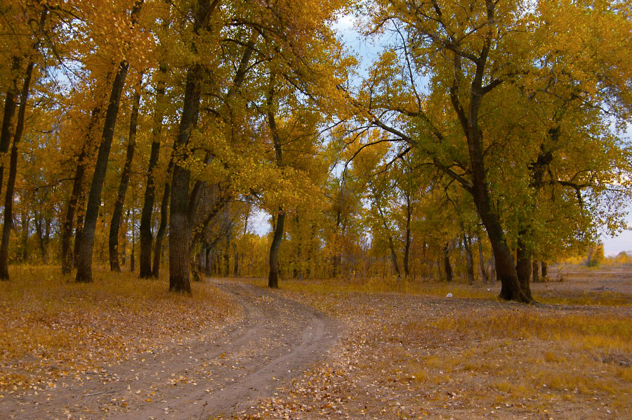 Осень