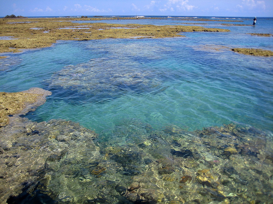 Amami oushima Japan