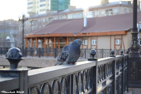 холодно без любимой...