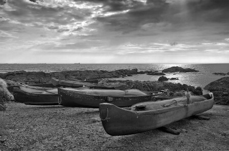 boats