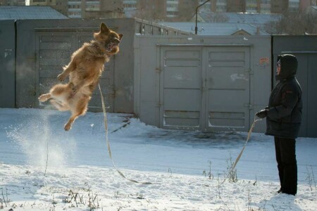 Полёт