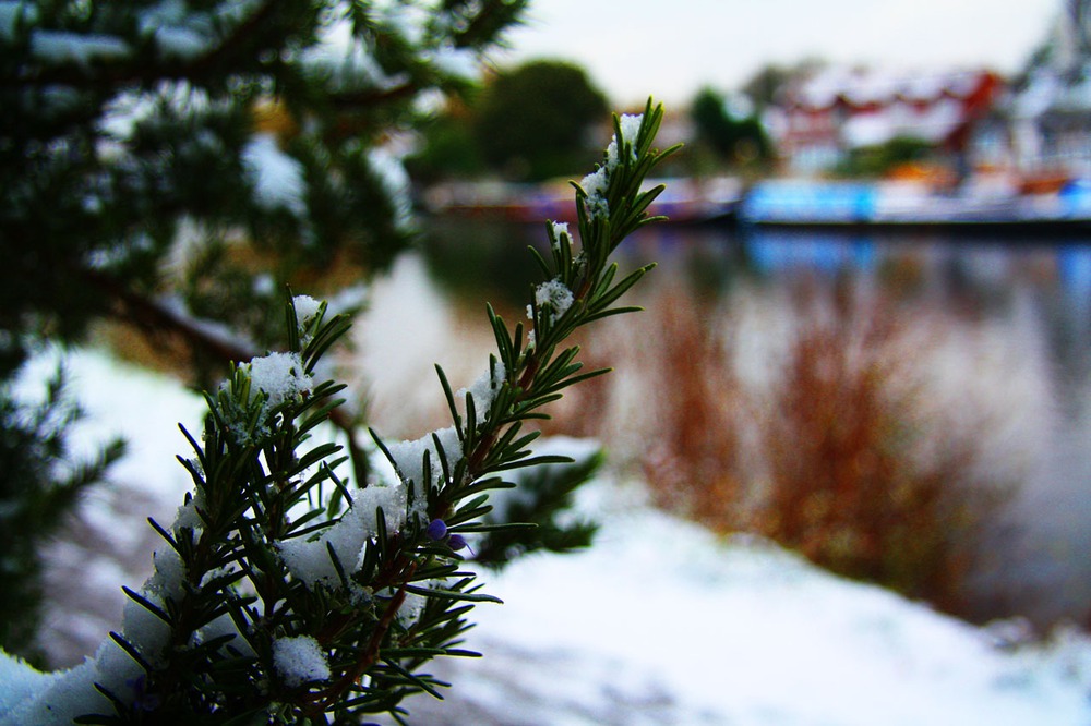 Snow in London