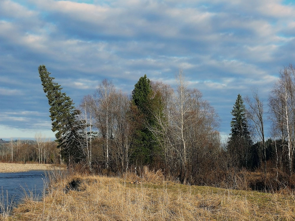 На осеннем берегу