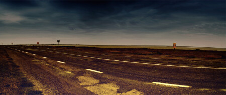 Животная тропа