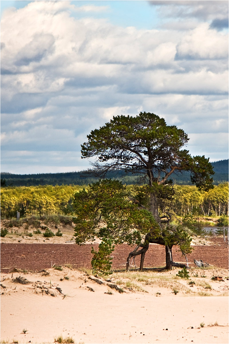 Кузомень