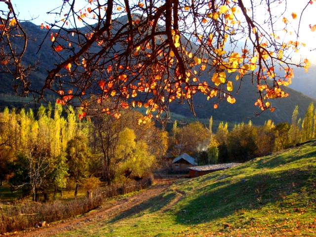 Осень в Пальтау.