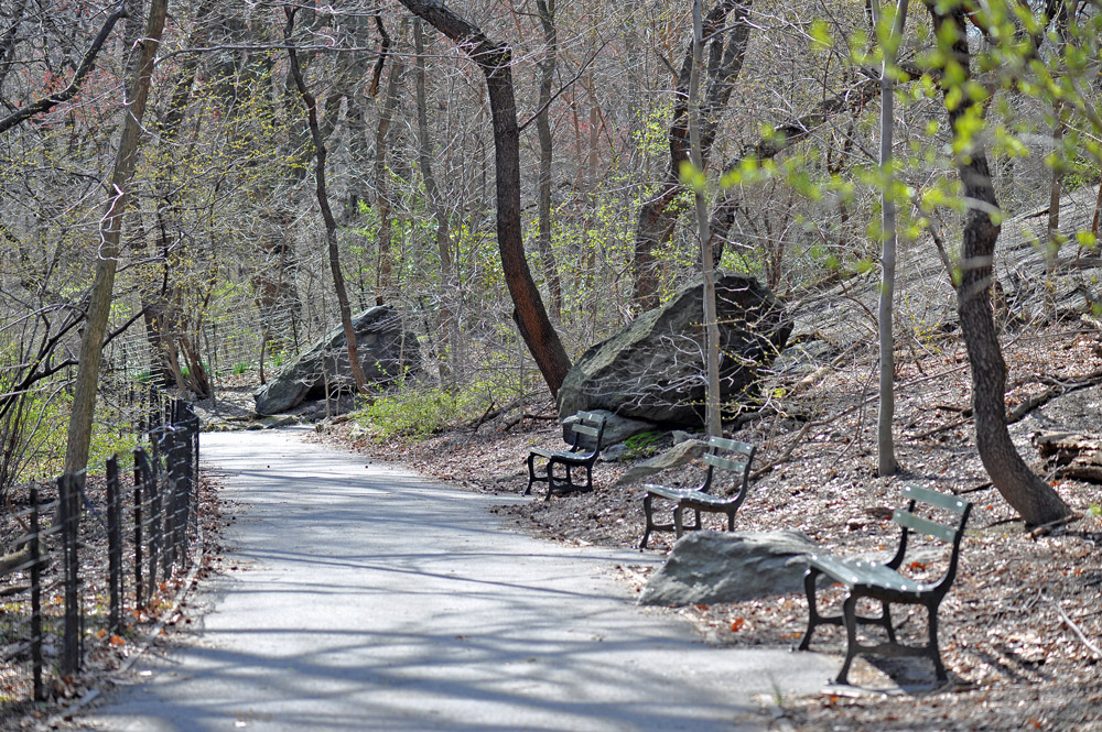 Март в NY City Central Park