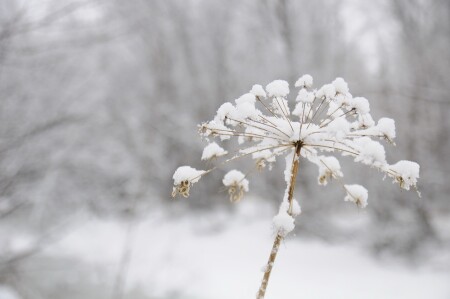 А меня забыли &#039;(