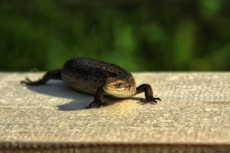 Я тут в гости, а стол еще не накрыт!