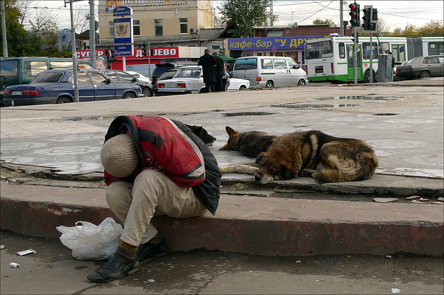 Жизнь собачья