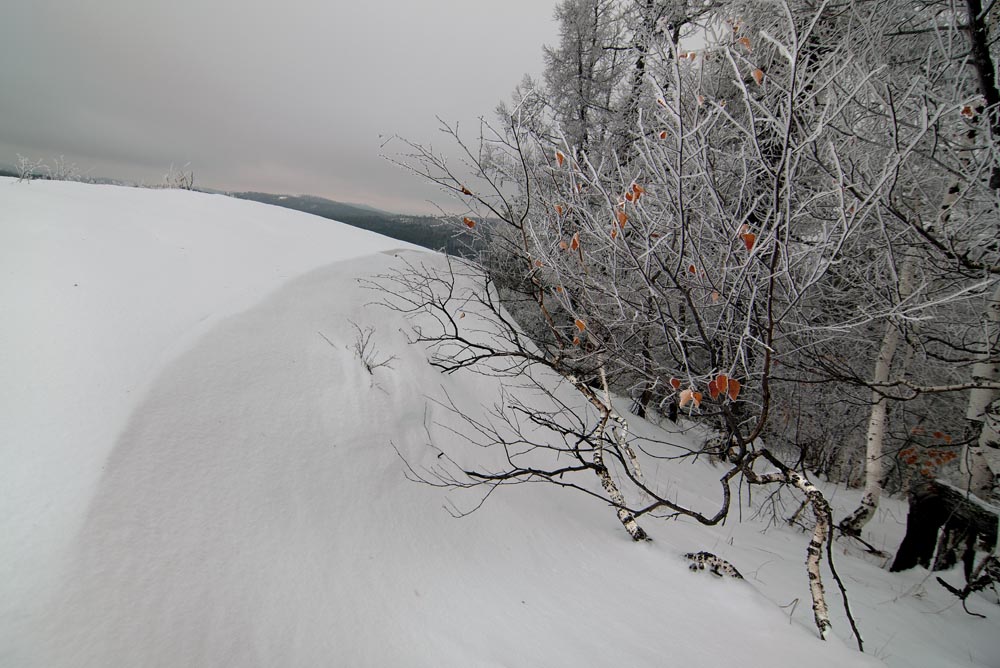 Остатки осени