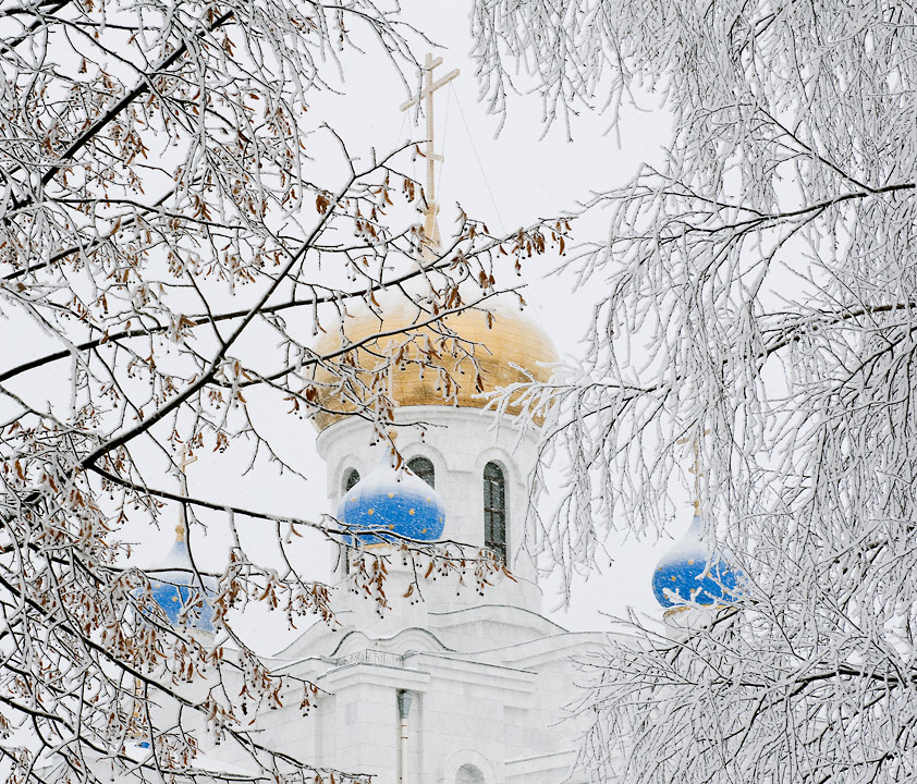 Снег в городе