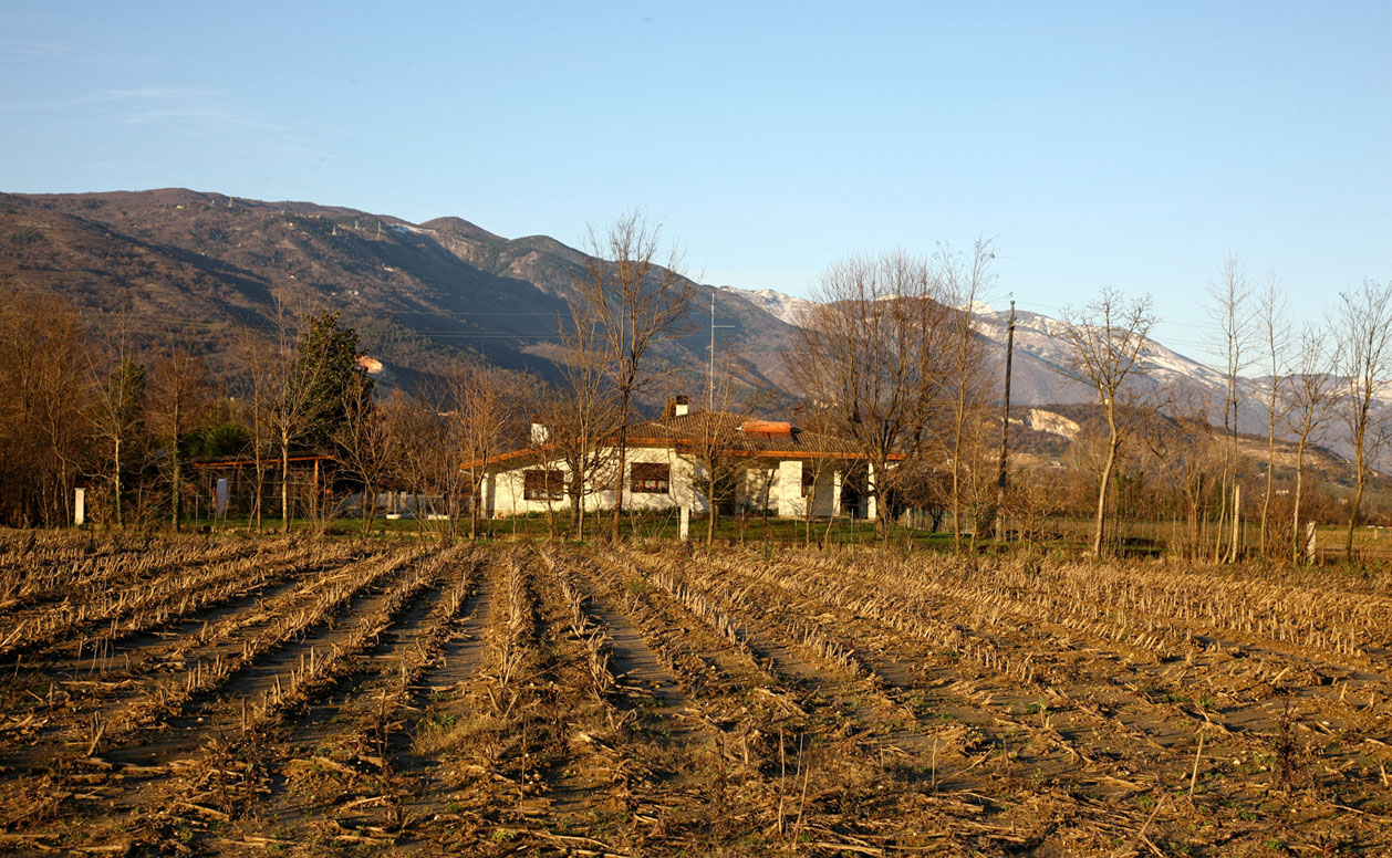 Italiano sconfinato campo