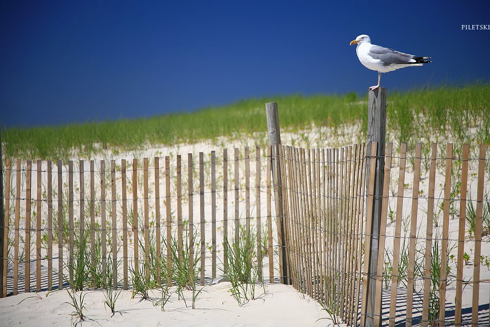 Sandy Beach