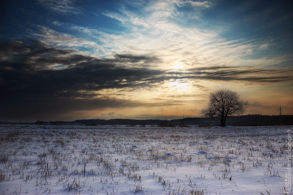 Winter Walk