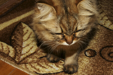 ей определенно не нравится вспышка ))