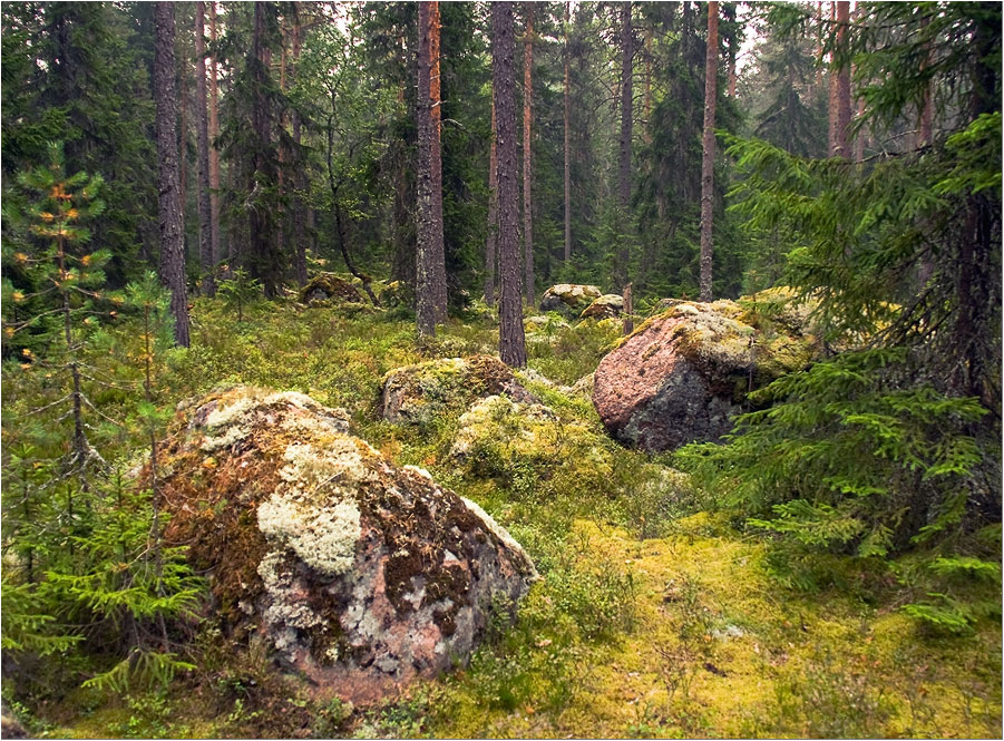 Там на неведомых дорожках следы невиданых зверей