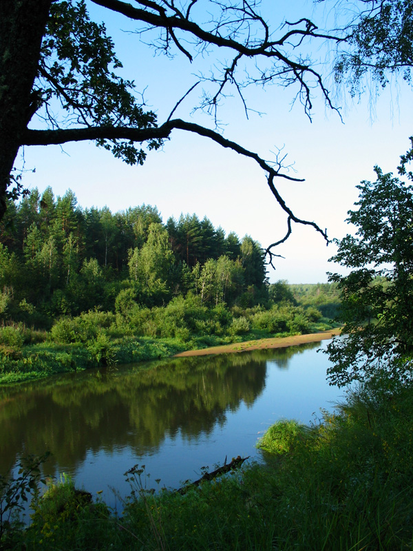 Утро на реке Жиздре