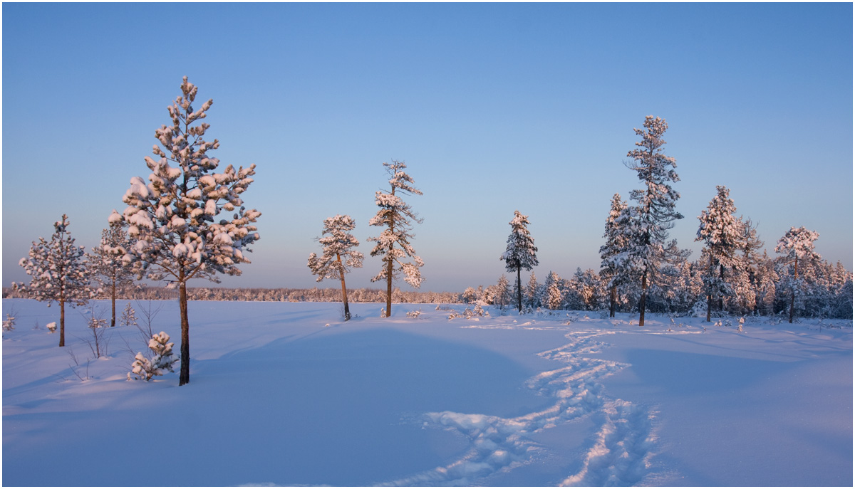 Три часа дня, -38