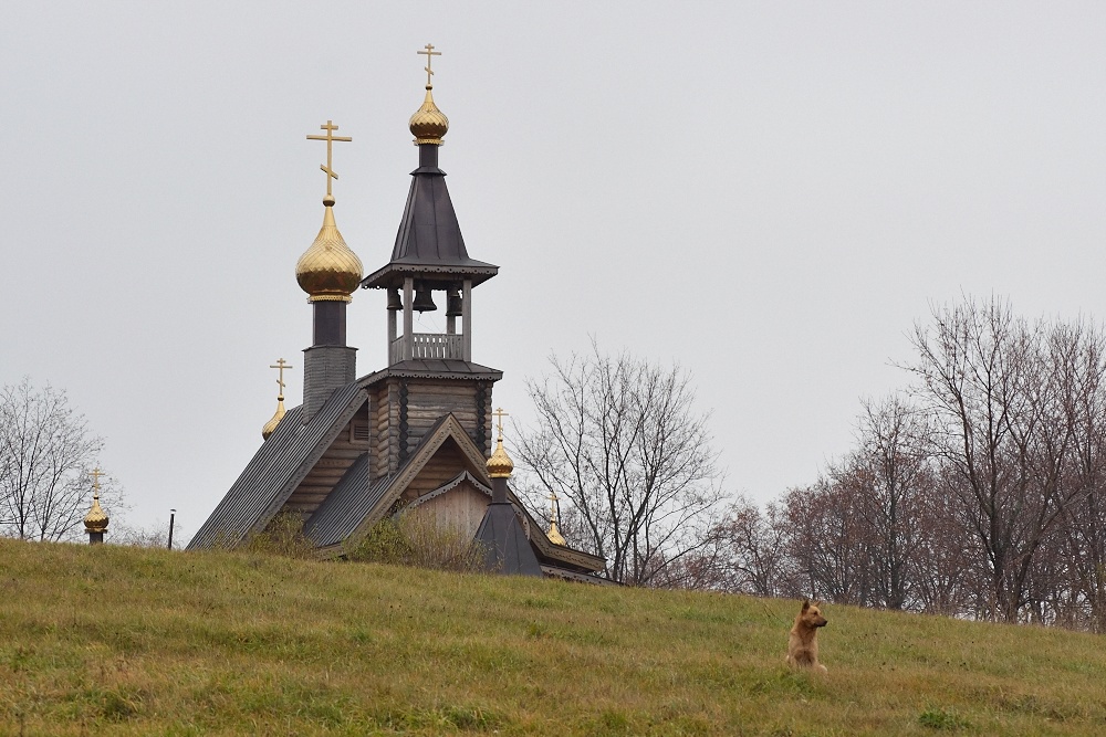 Сартаково, осень.