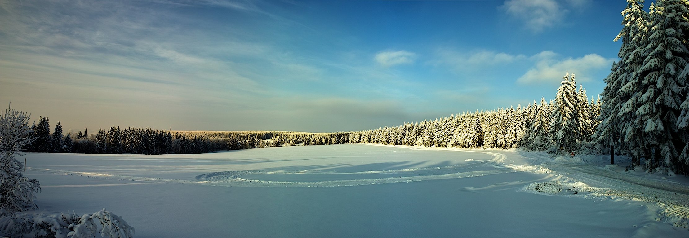 Поле.