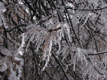 Ледяная глазурь 1