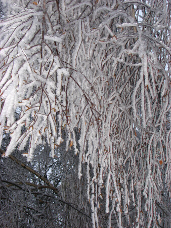 Ледяная глазурь 2