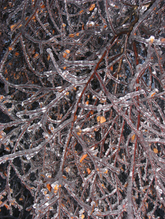 Ледяная глазурь 3