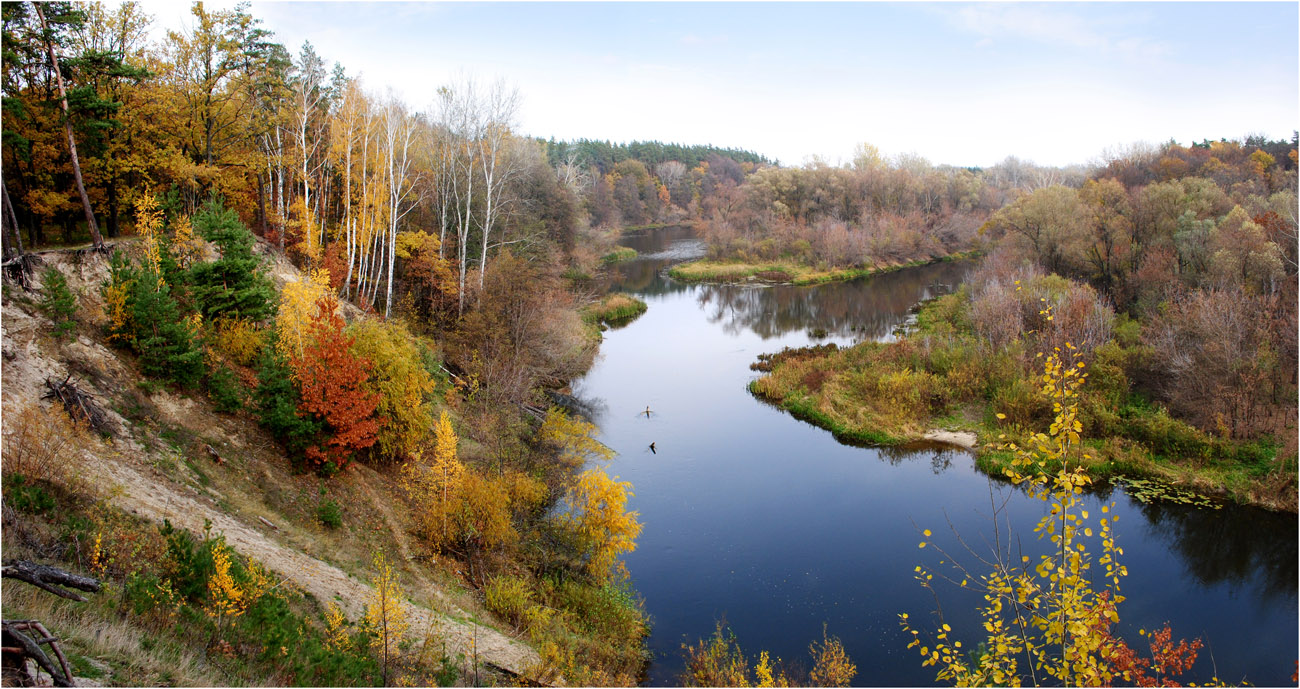 Краски осени