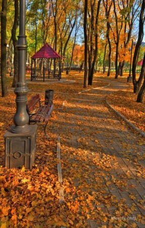 Осенние воспоминания