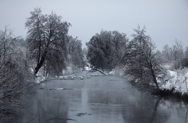 Серебро зимы