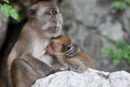 Материнская Любовь
