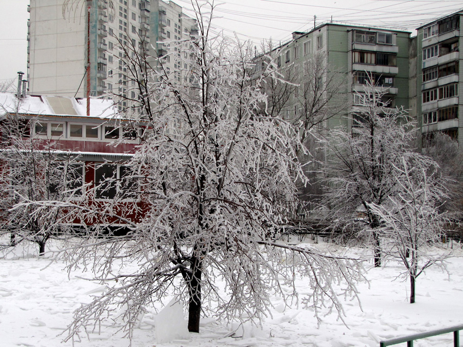 Ледяной снег *