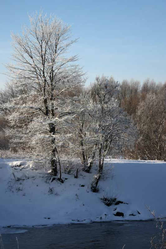 Прибрежное