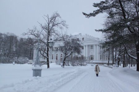Елагинский дворец зимой
