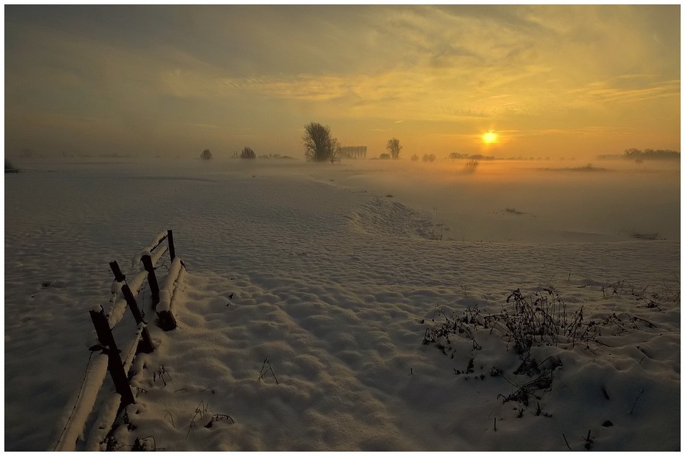 Foggy wintermorning.