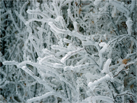 Новогодние загогулины
