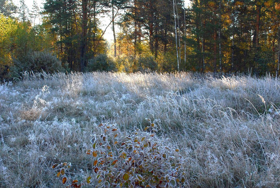 Лето-осень-зима