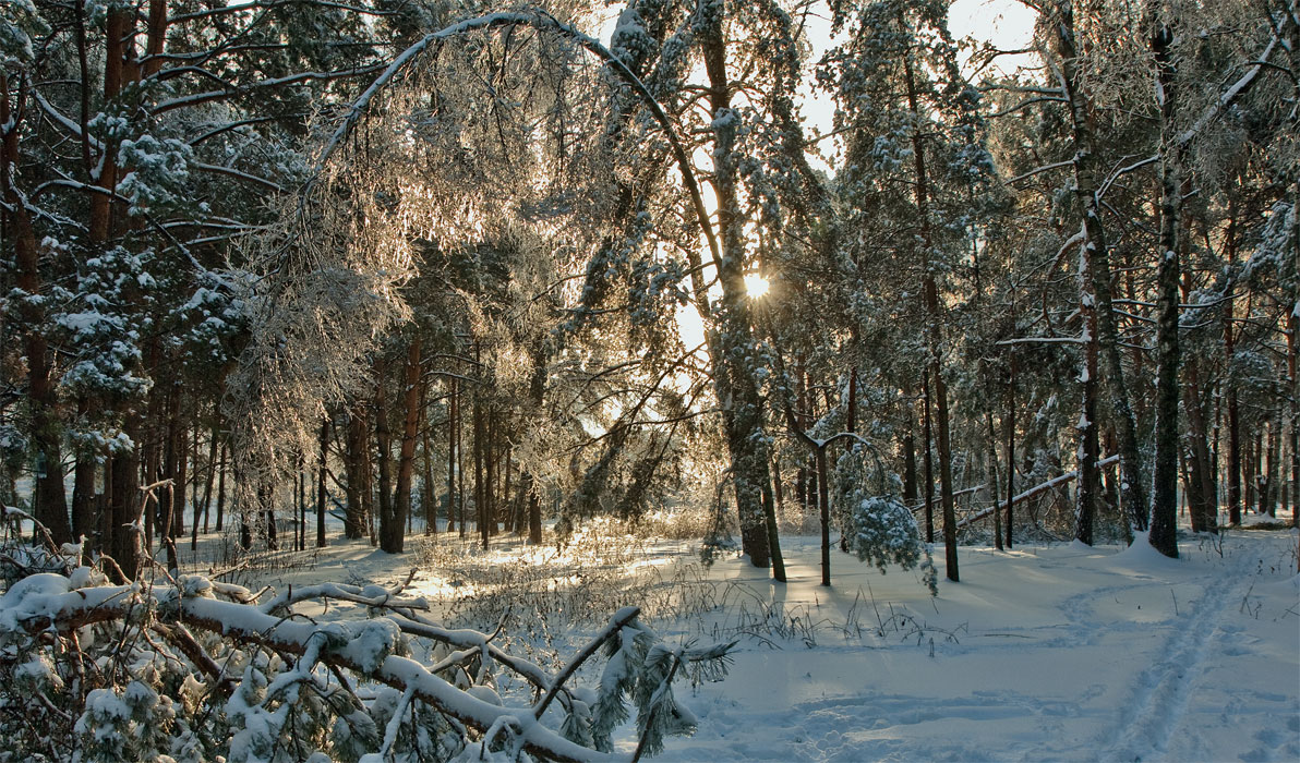 Несколько солнечных минут.