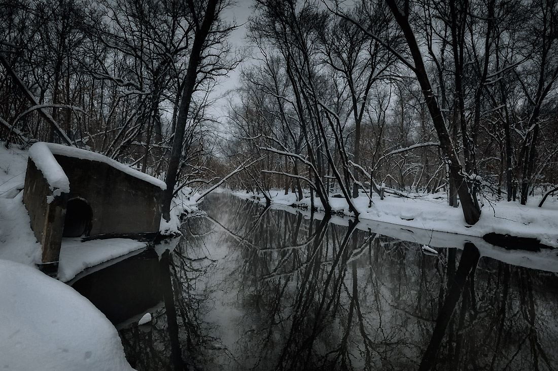 В сумерках