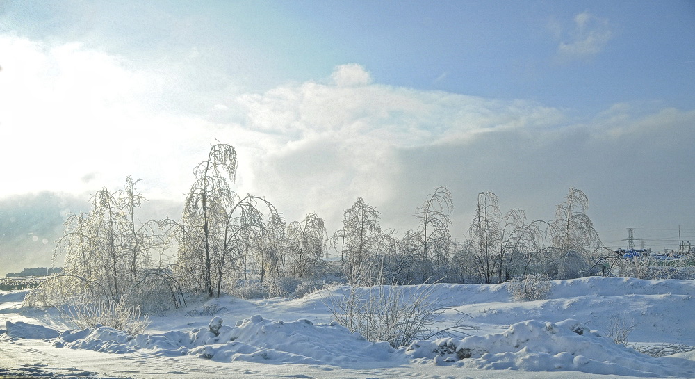 зима 2010