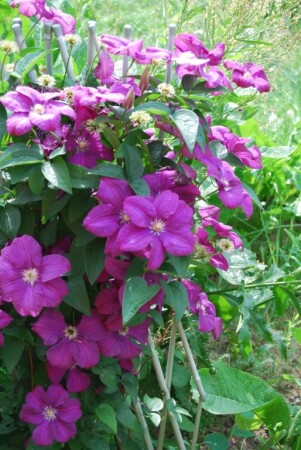 Вспомним летние деньки