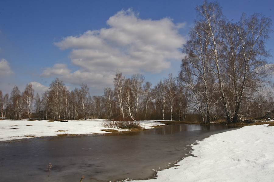 Весной пахнуло