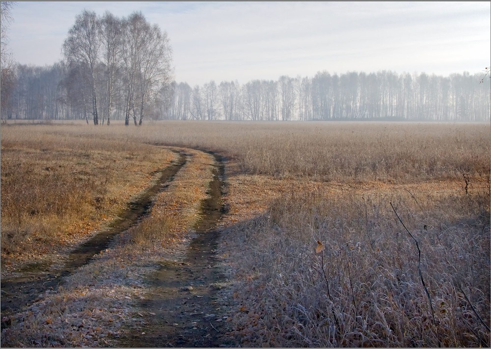 Свежесть морозного утра