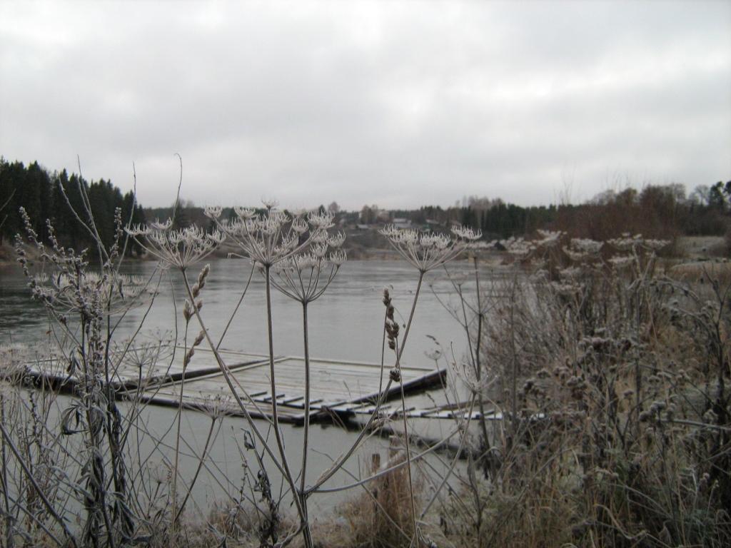 Первый заморозок